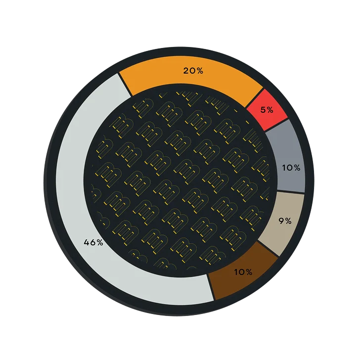 Tokenomics Breakdown